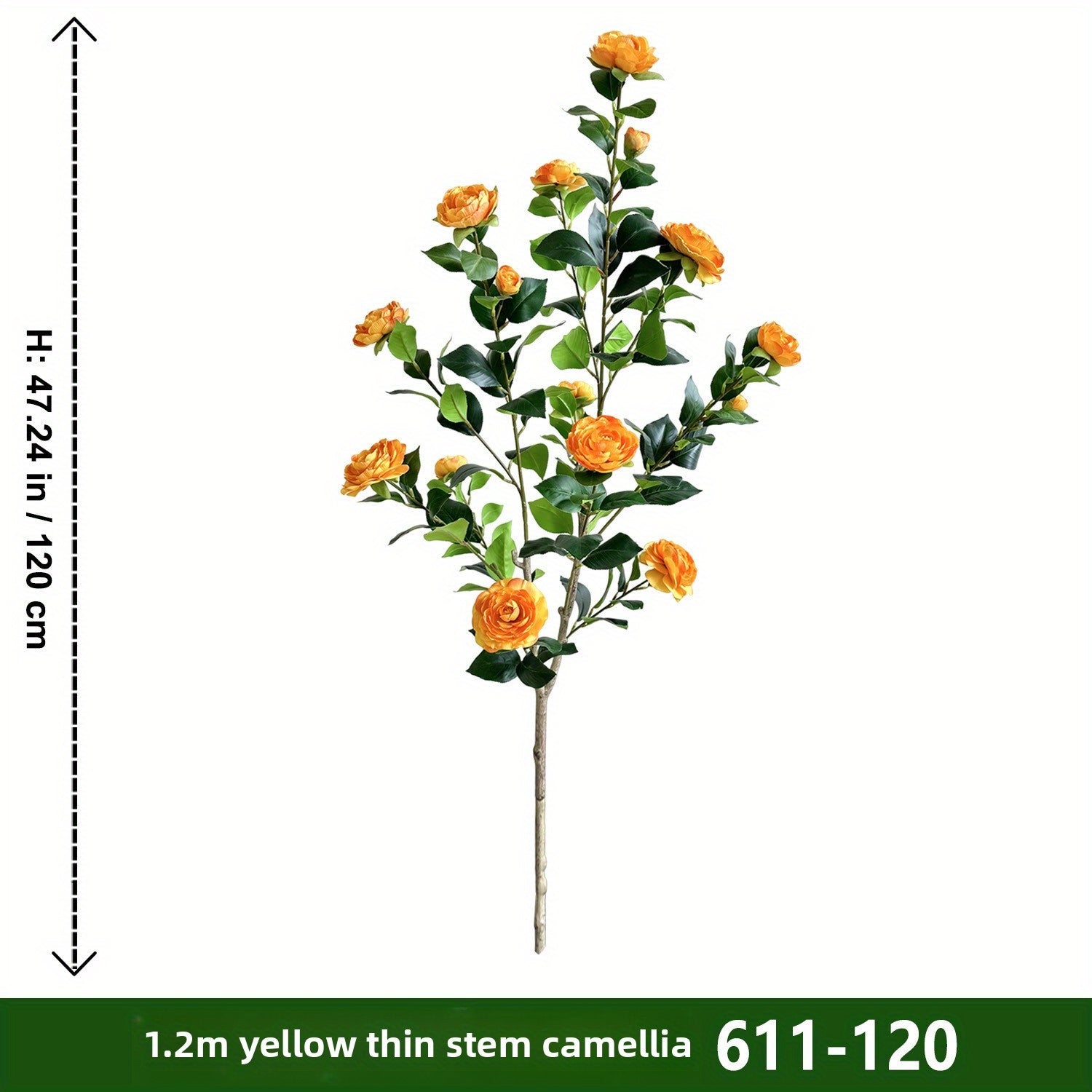 Texte alternatif par défaut