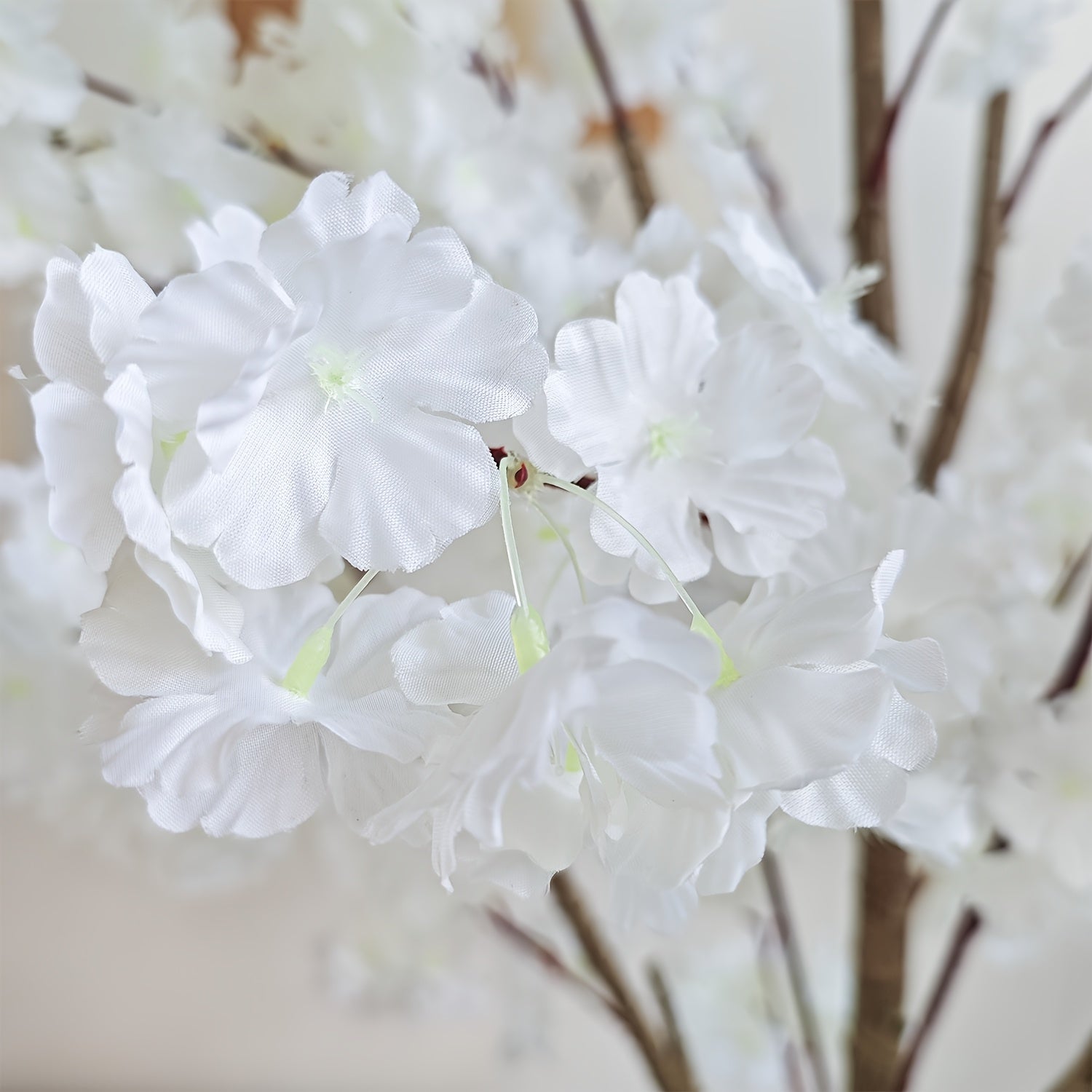 Texte alternatif par défaut