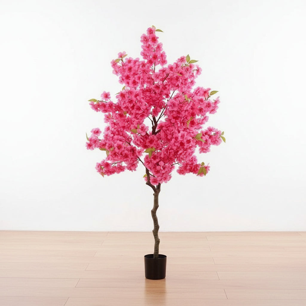 Texte alternatif par défaut