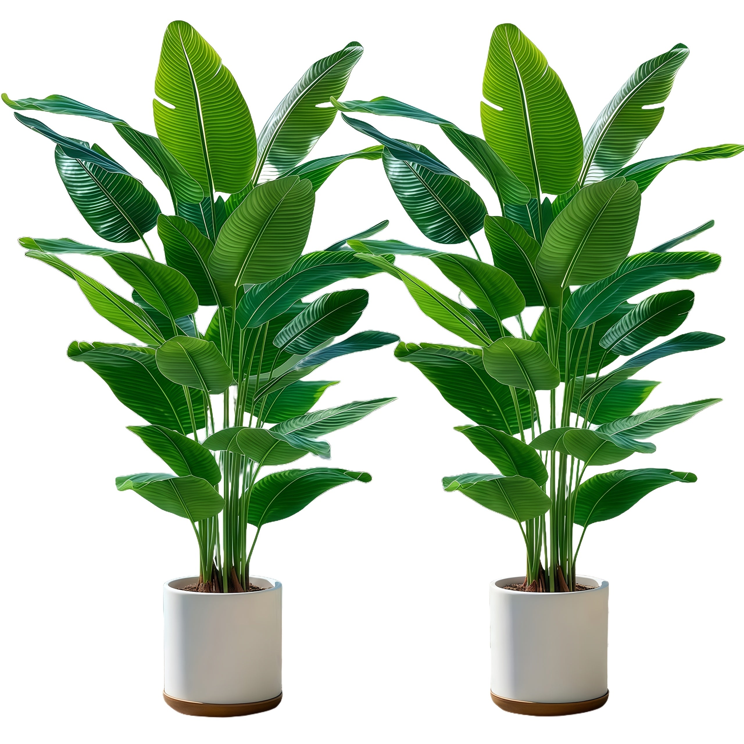 ensemble de deux bananiers artificiels