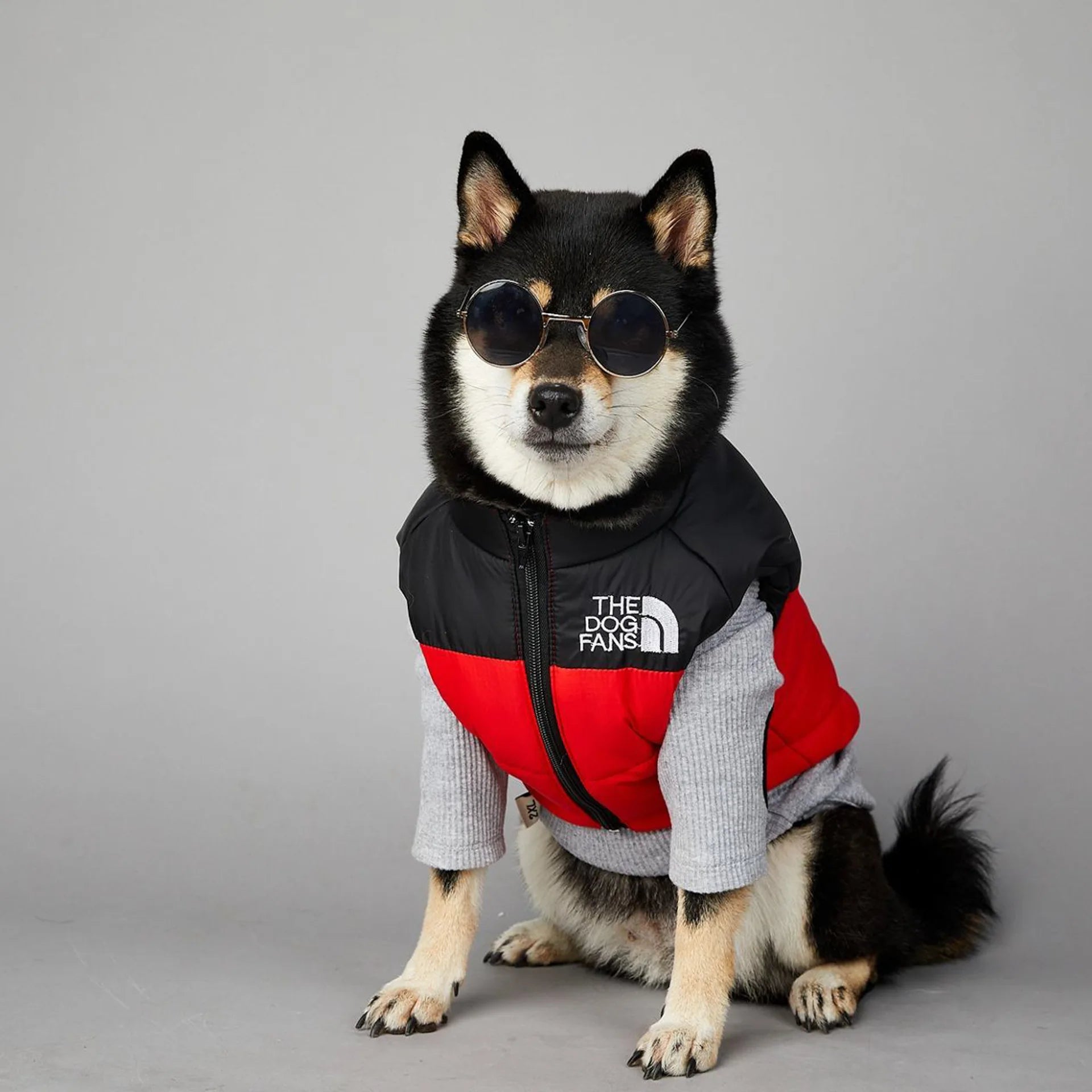 Manteau pour chiens