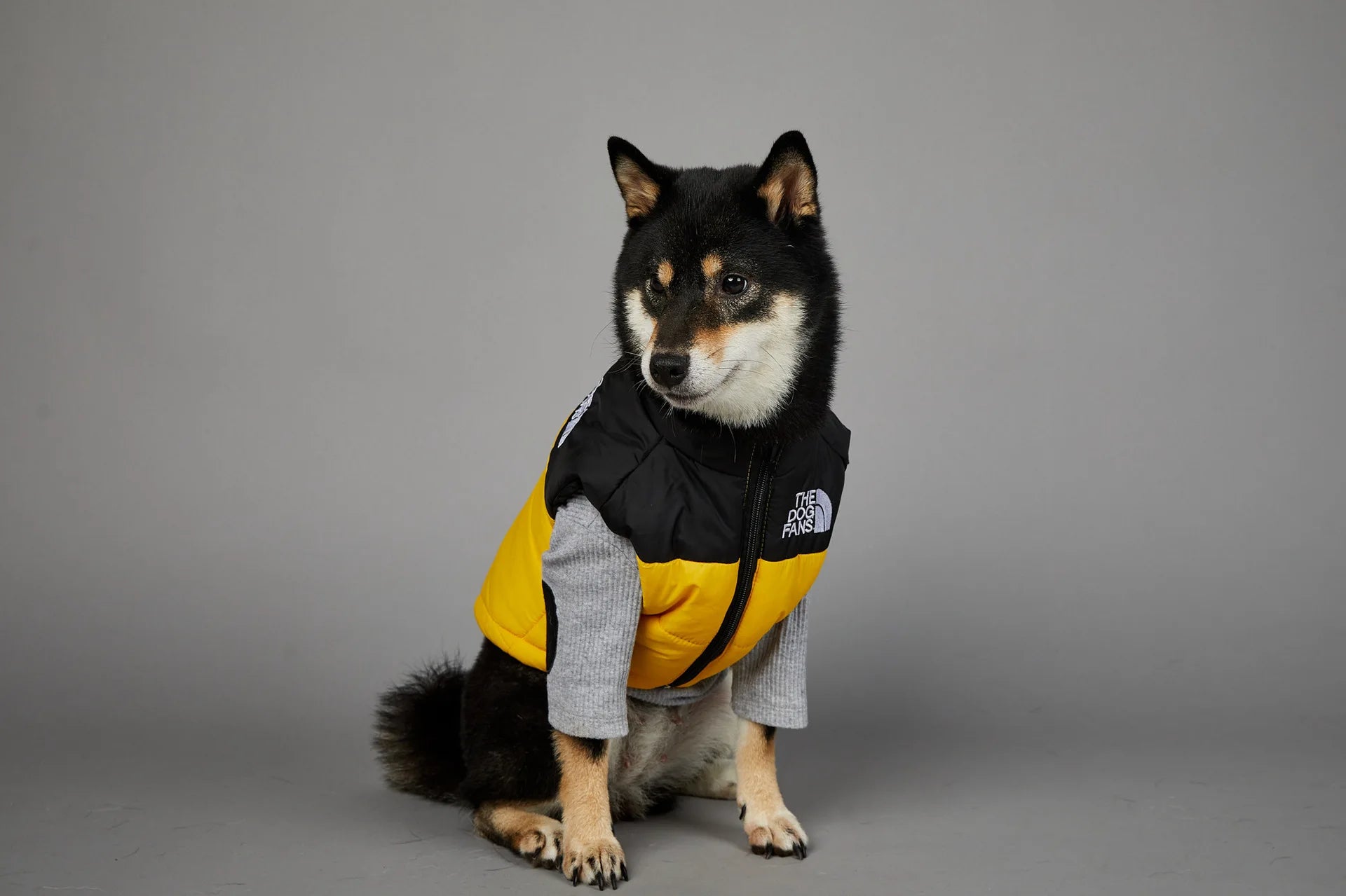 Manteau pour chiens