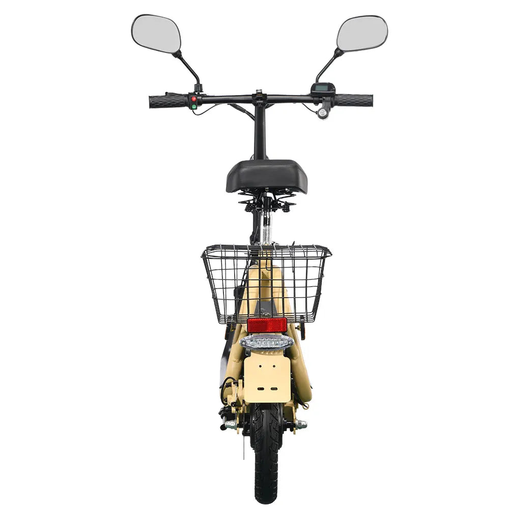 Vélo électrique pliable TWOFISH avec Road Legal (certifié Road EEC)