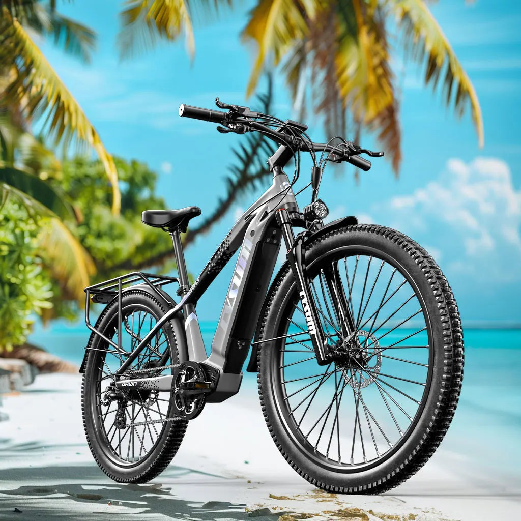 EBike CYSUM Speedy29