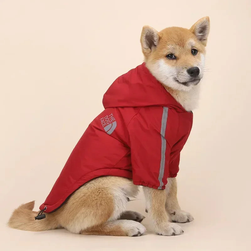 Vêtements réfléchissants pour chien