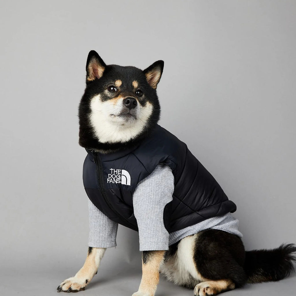 Manteau pour chiens