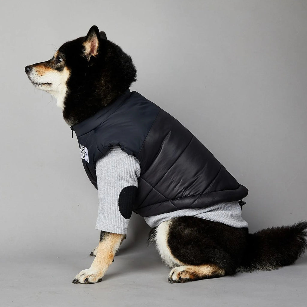 Manteau pour chiens
