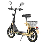 TWOFISH folding electric bike with road legality (Road EEC certified)