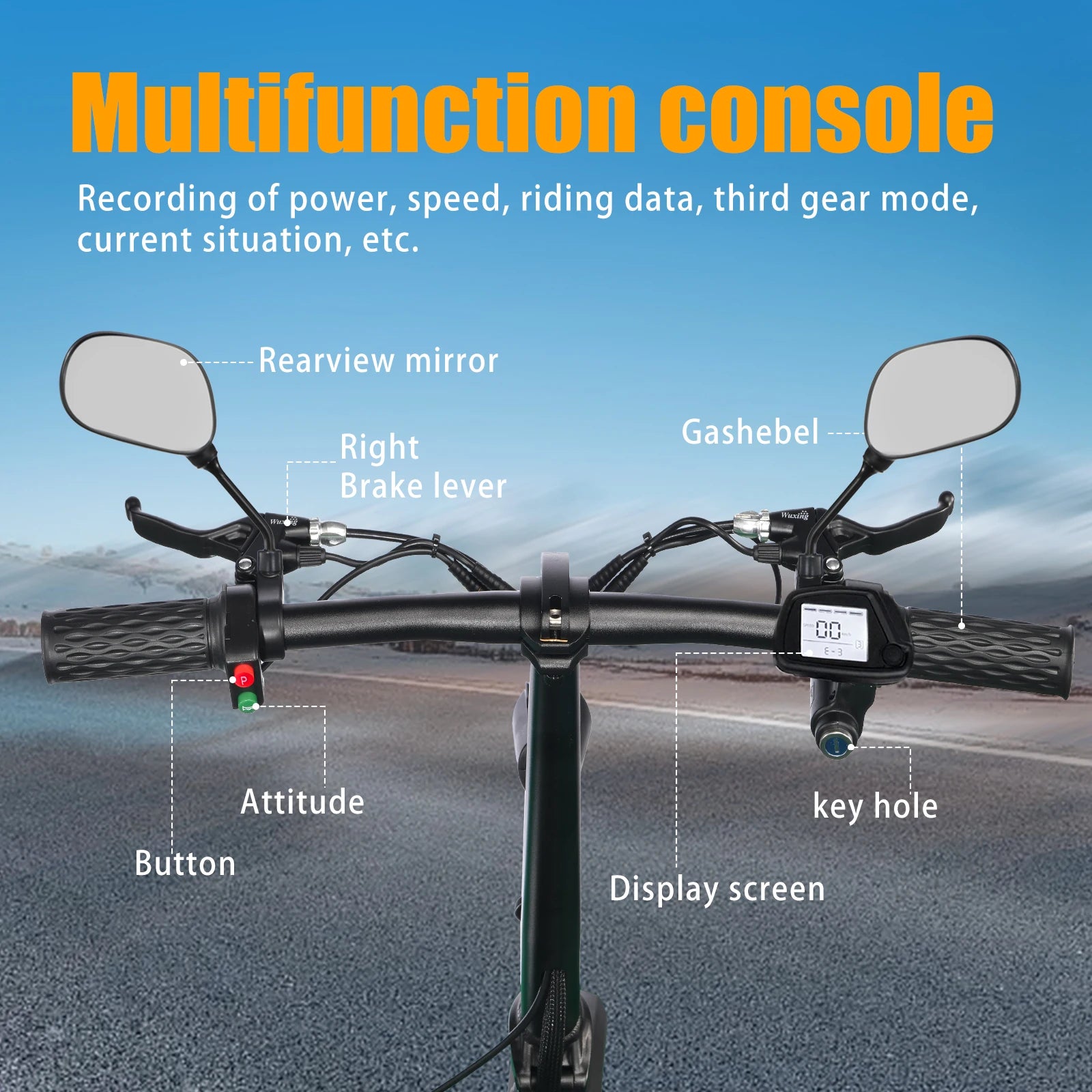 TWOFISH folding electric bike with road legality (Road EEC certified)