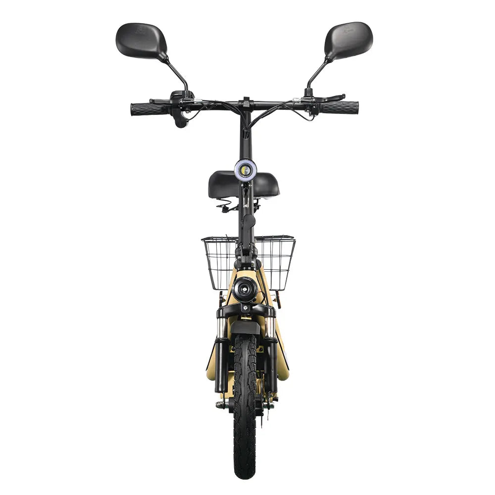 Vélo électrique pliable TWOFISH avec Road Legal (certifié Road EEC)