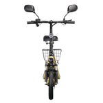 TWOFISH folding electric bike with road legality (Road EEC certified)