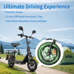 Twofish M5-PRO-E Electric Bike