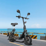 Twofish M5-PRO-E Electric Bike