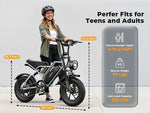 E-bike 250W VARUN Plorer