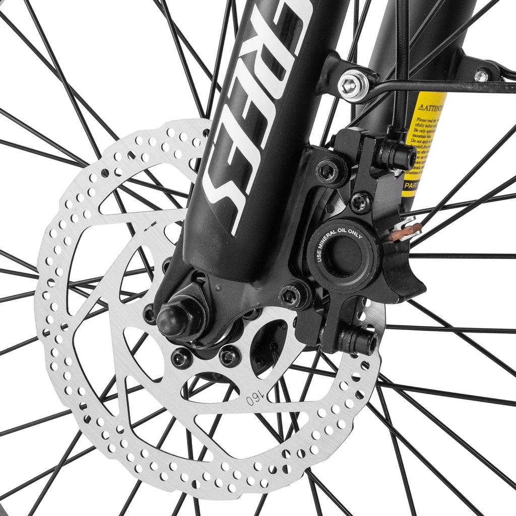 Vélo électrique Fafrees F20