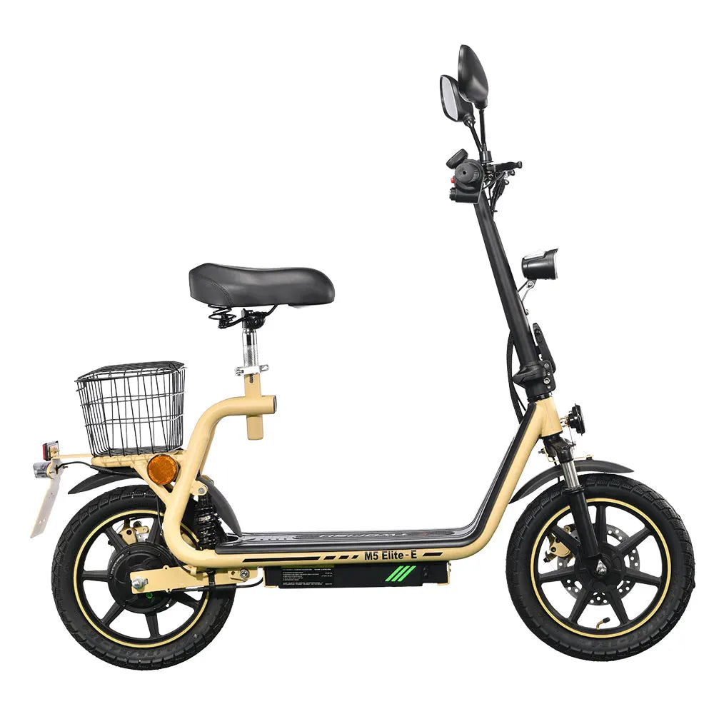 TWOFISH folding electric bike with road legality (Road EEC certified)