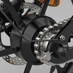 Vélo électrique ESKUTE D100 250W