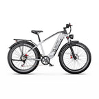 vélo électriqueDUOTTS 500W