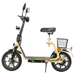 TWOFISH folding electric bike with road legality (Road EEC certified)