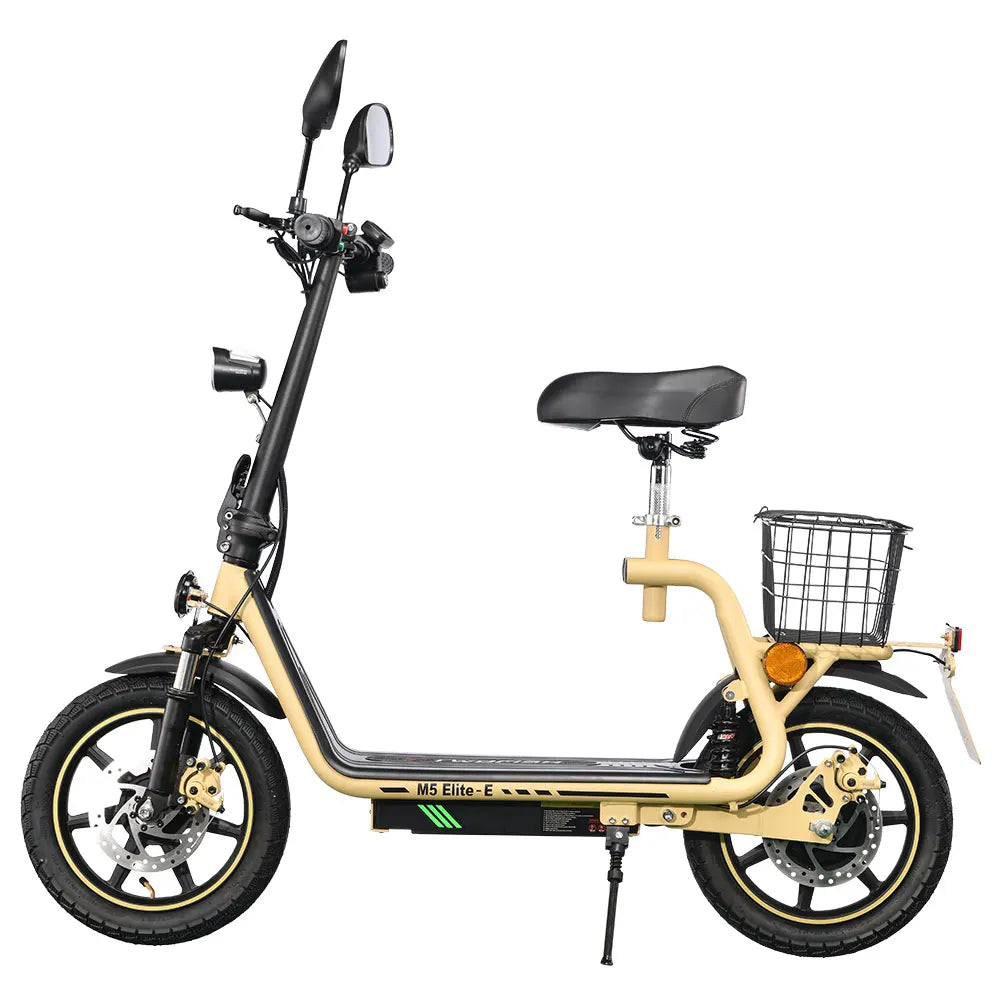 TWOFISH folding electric bike with road legality (Road EEC certified)