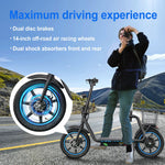 Twofish M5 Elite Electric Bike