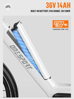 ONESPORT OT07 250W Electric Bike