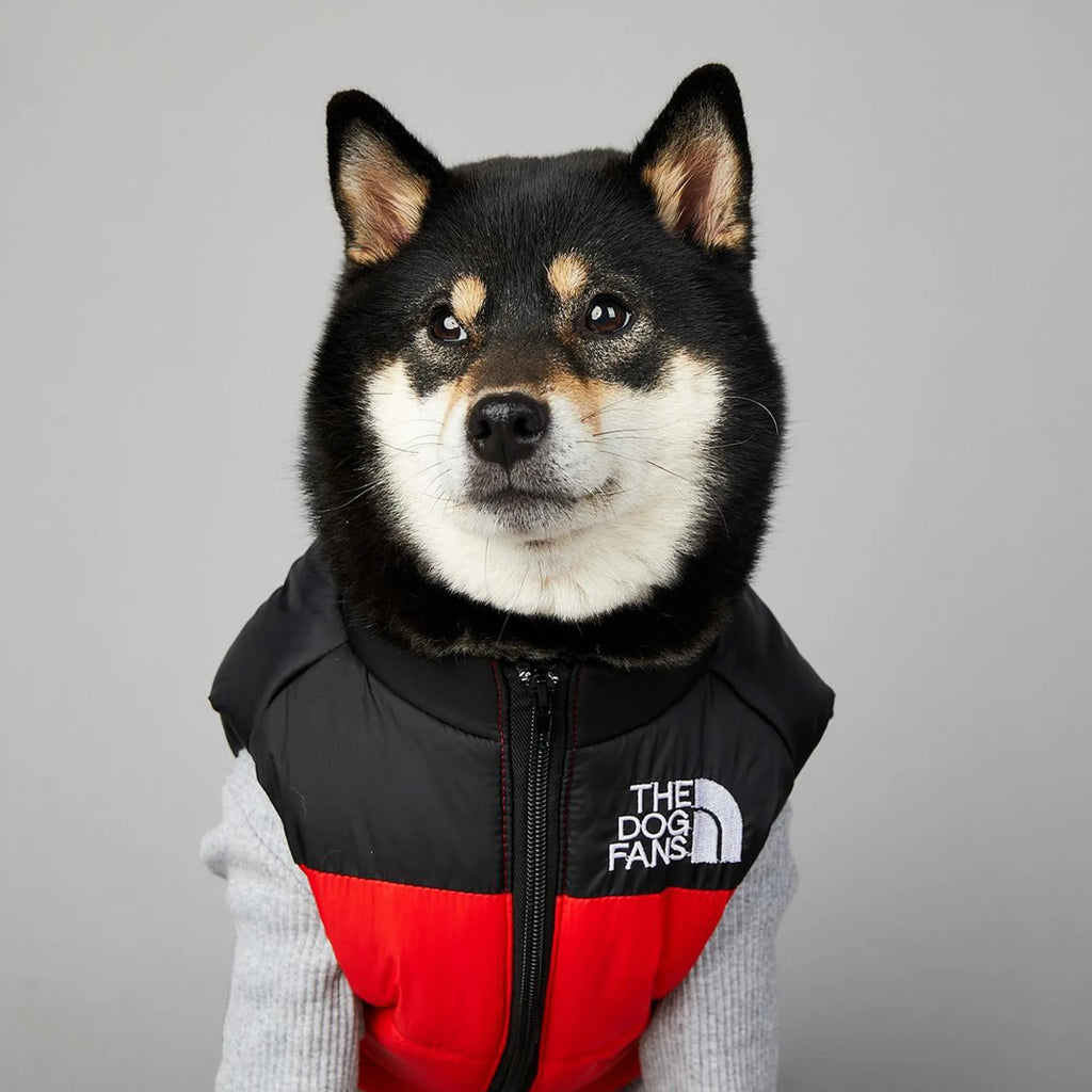 Manteau pour chiens