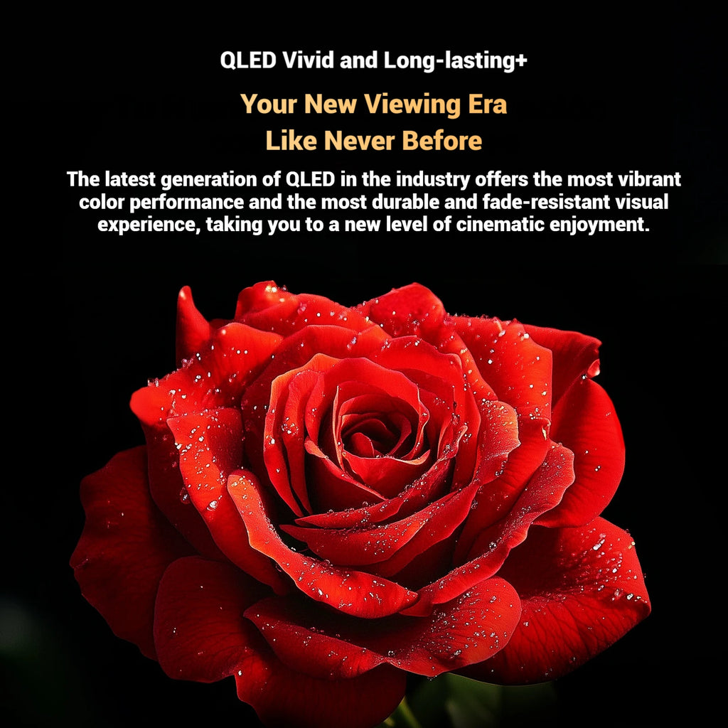 METZ QLED TV 43 pouces 4K