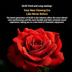 METZ QLED TV 43 pouces 4K