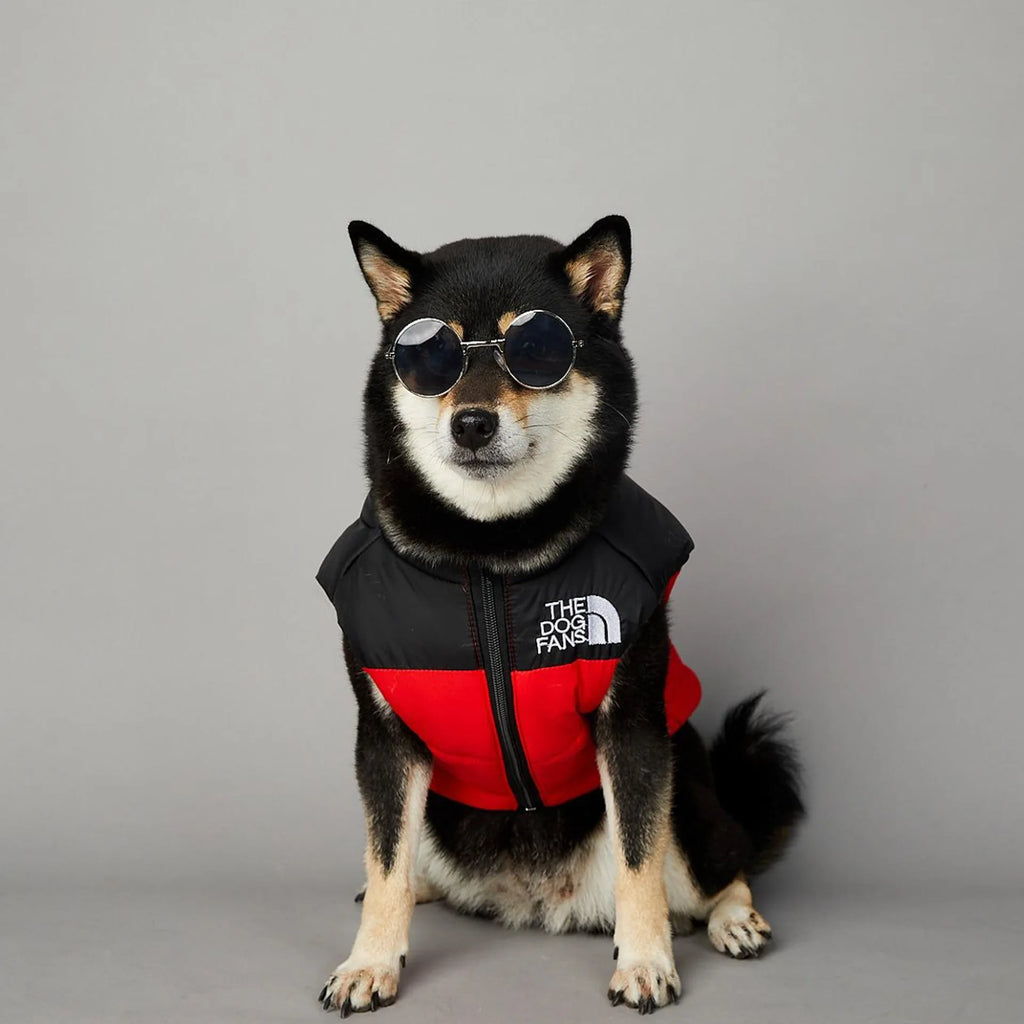 Manteau pour chiens