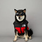 Manteau pour chiens