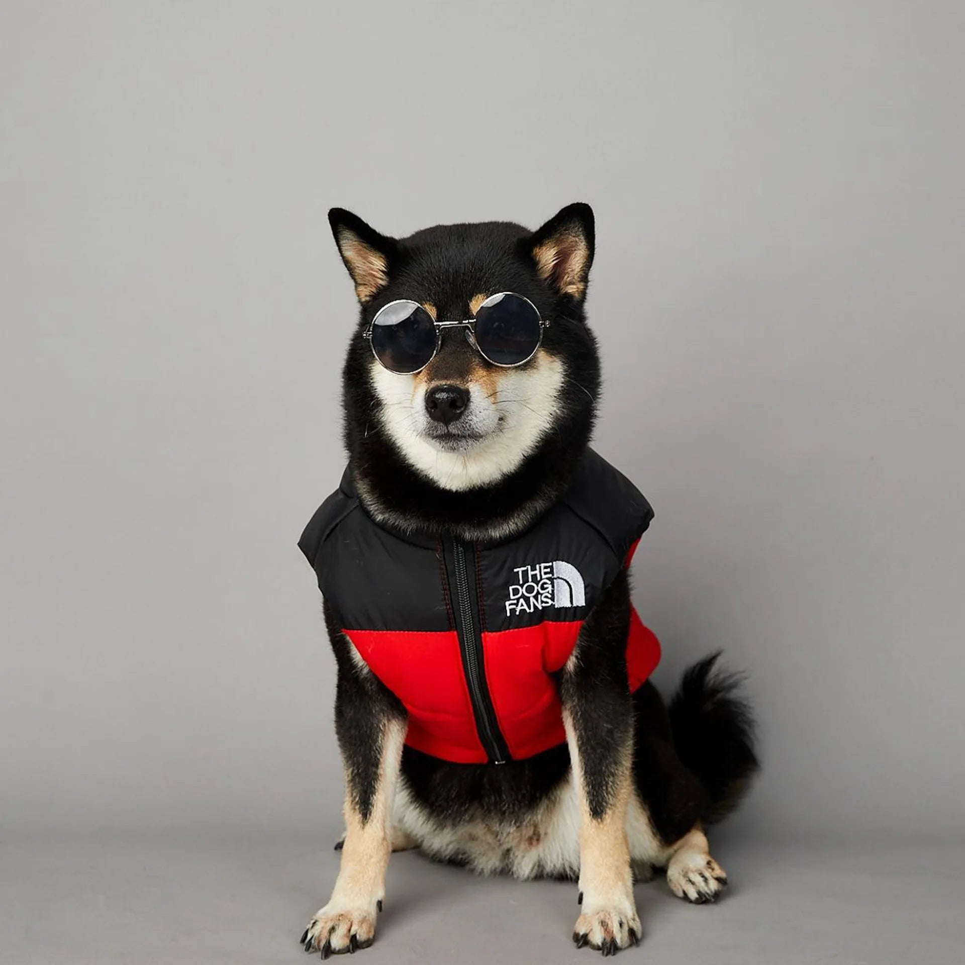 Manteau pour chiens