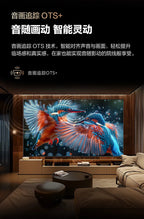 HXL Home LCD Ultra HD Réseau antidéflagrant