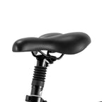 Vélo électrique Fafrees F20