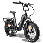 Vélo électrique Fafrees F20