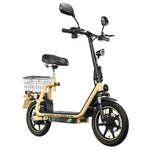 TWOFISH folding electric bike with road legality (Road EEC certified)