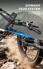 vélo électriqueDUOTTS 500W