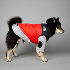Manteau pour chiens