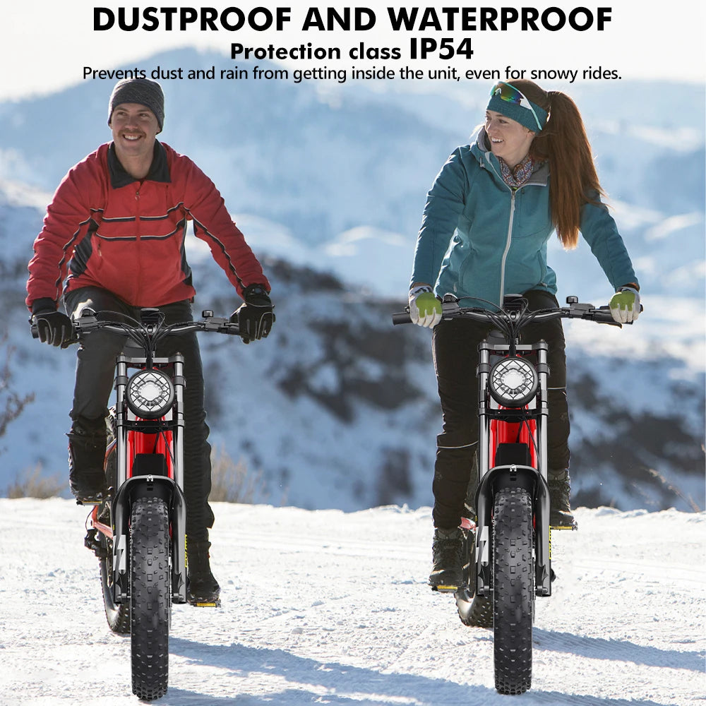 Vélo électrique Hidoes HD-B6  1200W