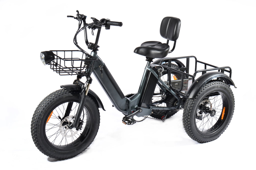 Tricycle électrique PULUMA