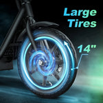 Twofish M5 Elite Electric Bike