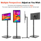 Smart Home Business TV sans fil