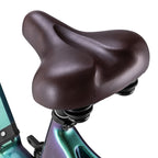 Vélo électrique Fafrees F20