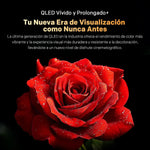 Téléviseur Metz Mqf7500Z Qled Pro Téléviseur Google