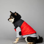 Manteau pour chiens