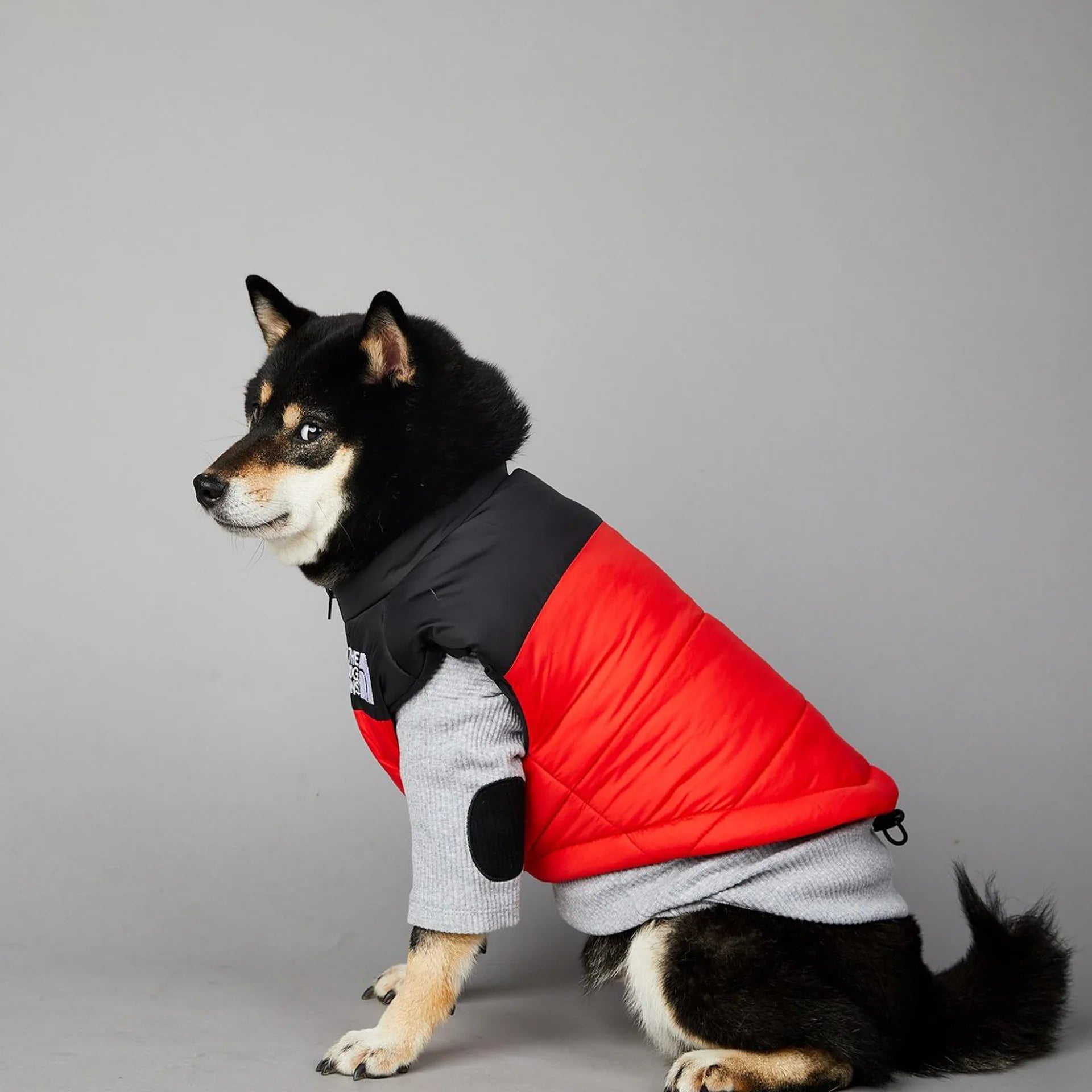 Manteau pour chiens