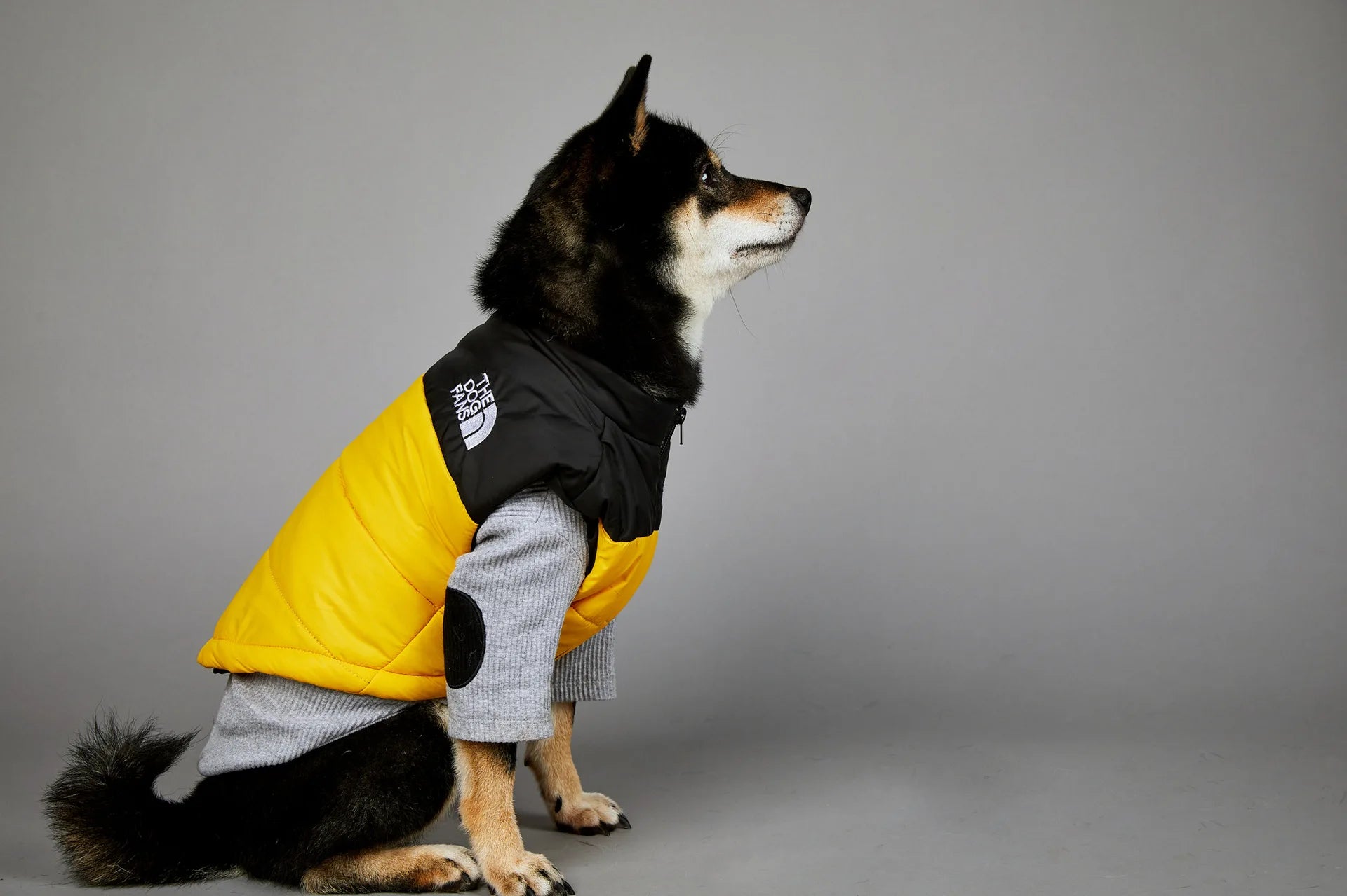 Manteau pour chiens