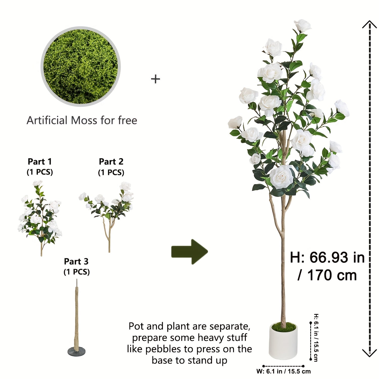 Texte alternatif par défaut