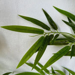 Bambou artificiel de 150 à 210 cm - Electromagna