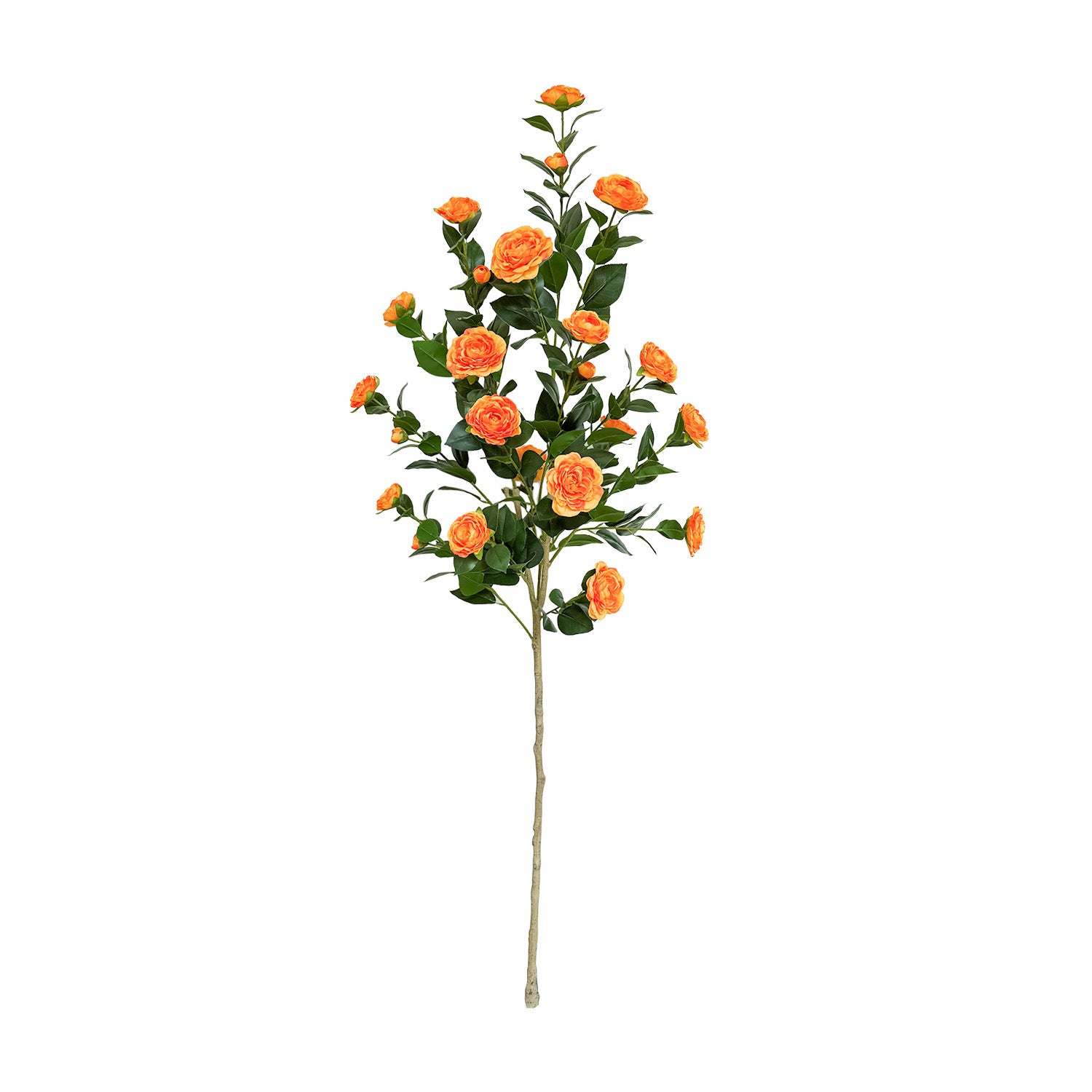 Texte alternatif par défaut